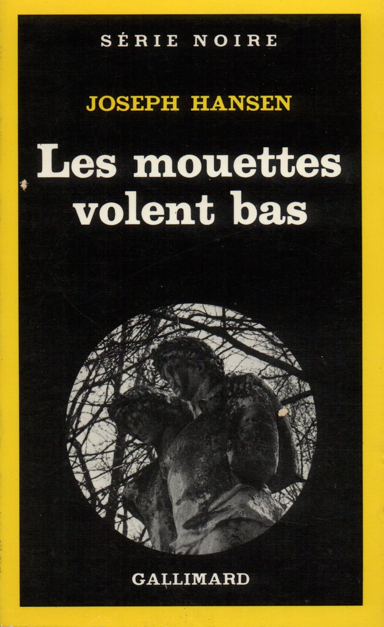 Les mouettes volent bas - Click to enlarge picture.