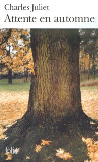 Attente en automne - Click to enlarge picture.