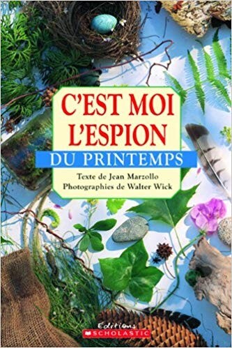 C'est moi l'espion du printemps - Click to enlarge picture.