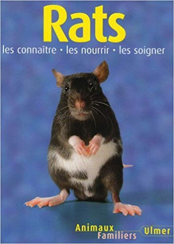 Rats - Click to enlarge picture.