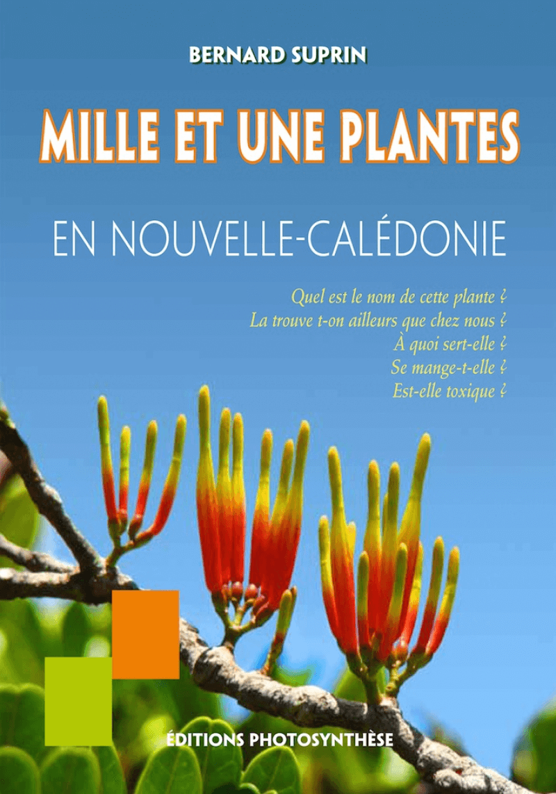 Mille et une plantes en Nouvelle-Calédonie - Click to enlarge picture.