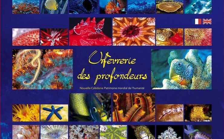 Orfèvrerie des profondeurs - Click to enlarge picture.