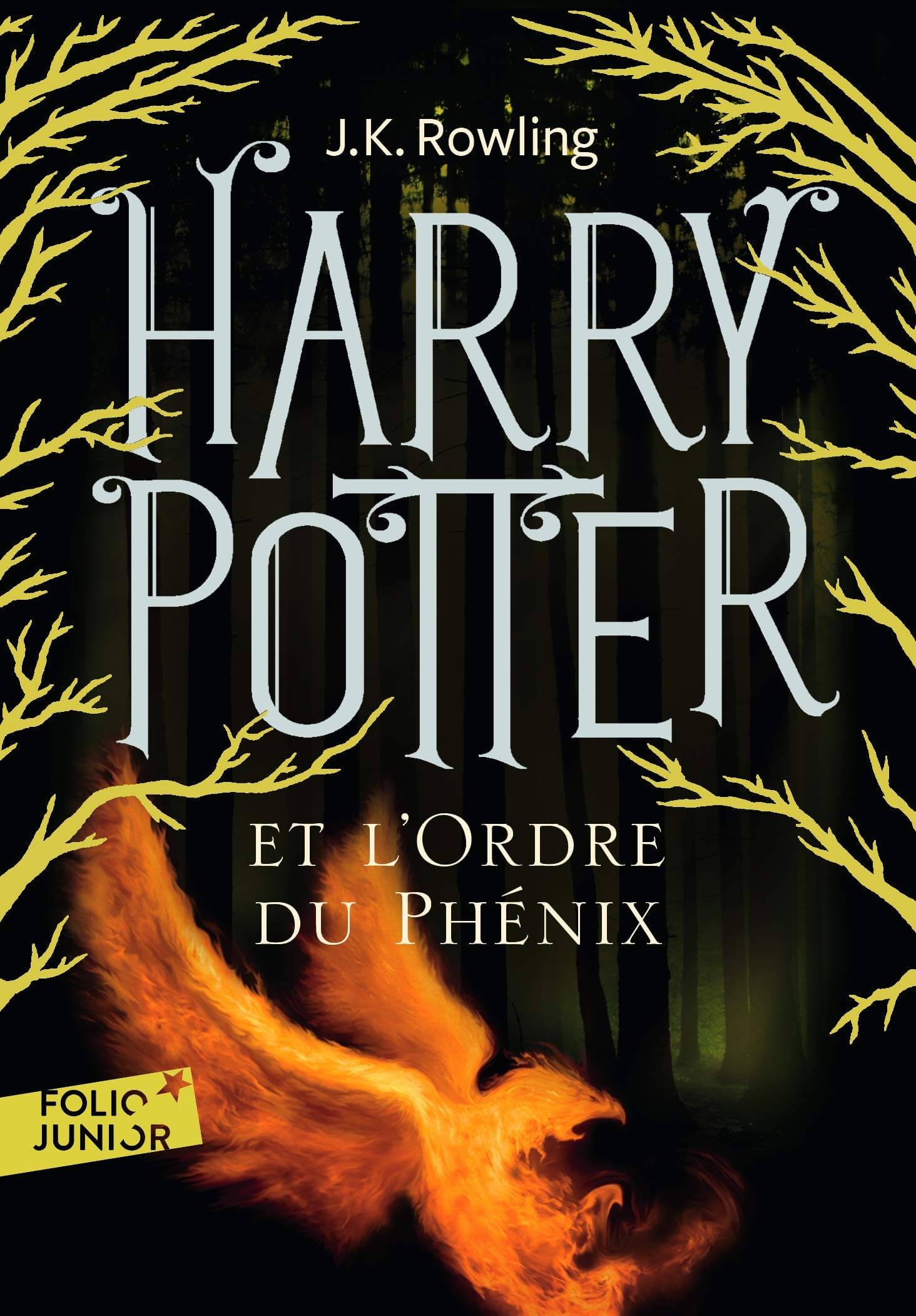 Harry Potter et l'ordre du Phénix - Click to enlarge picture.