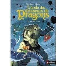 L'école des dresseurs de Dragons - Click to enlarge picture.