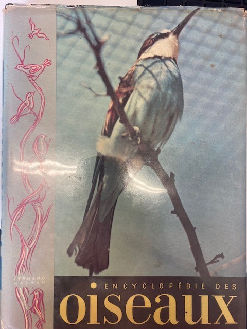 Encyclopédie des oiseaux - Click to enlarge picture.