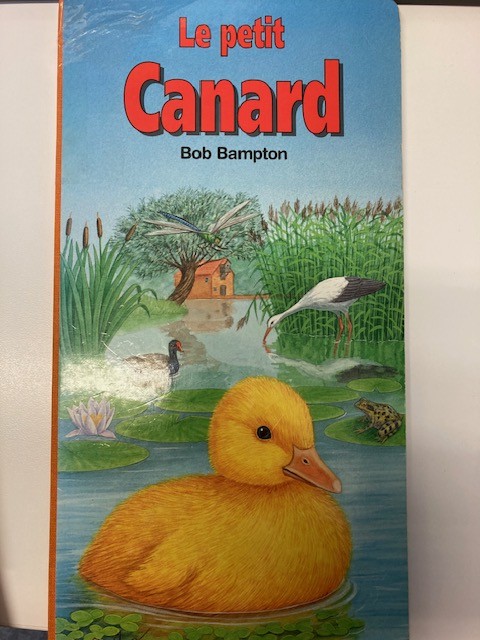 Le petit canard - Click to enlarge picture.