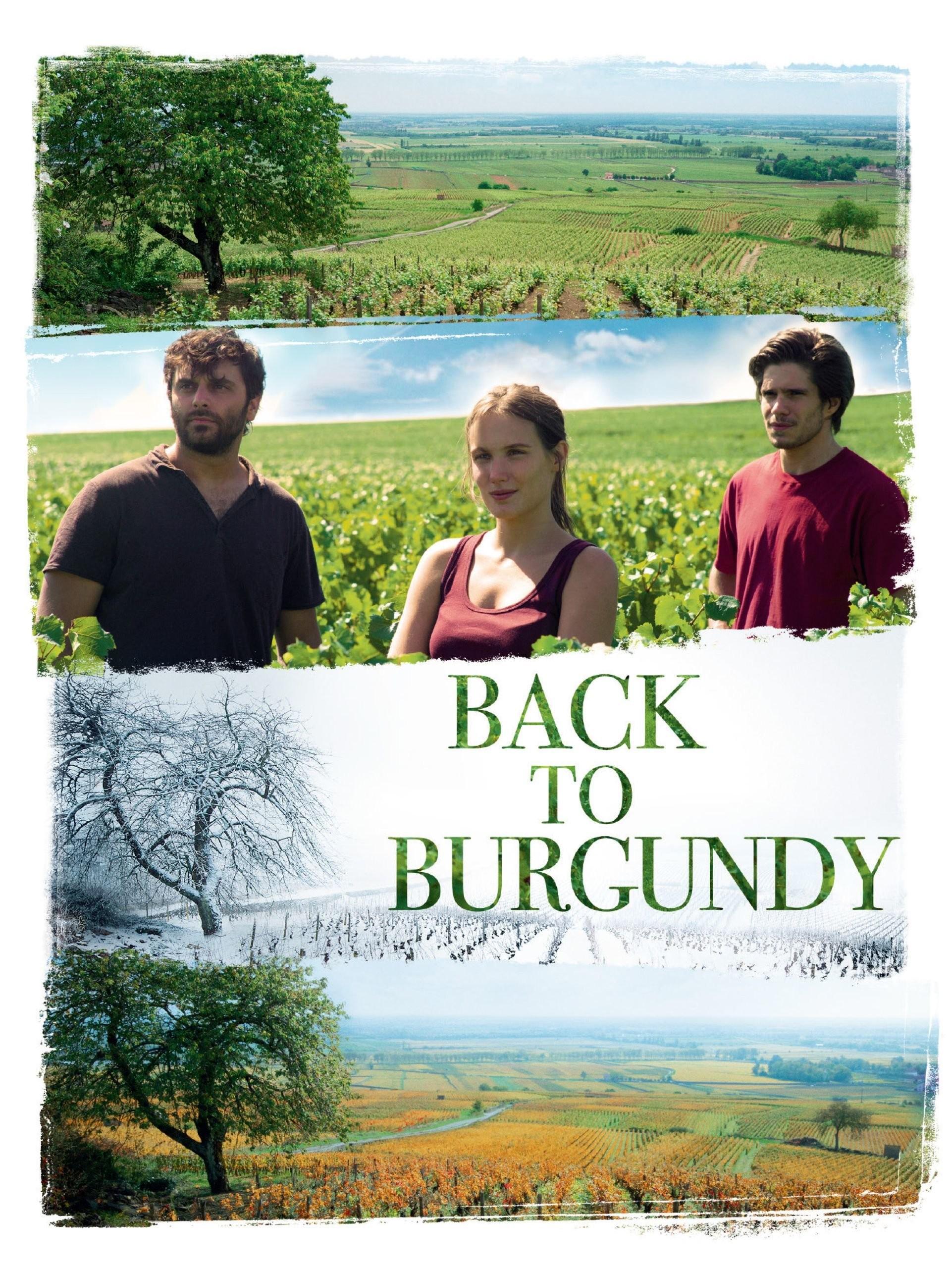 Back to Burgundy - Click to enlarge picture.