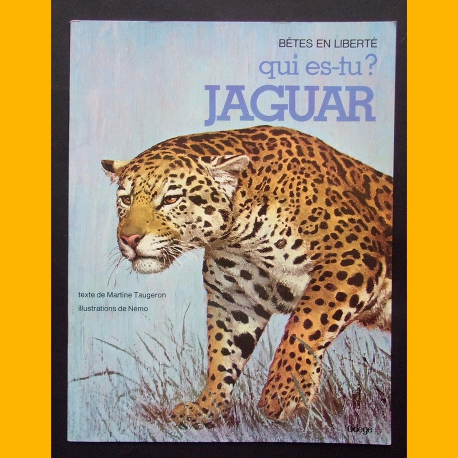 Qui es-tu jaguar? - Click to enlarge picture.