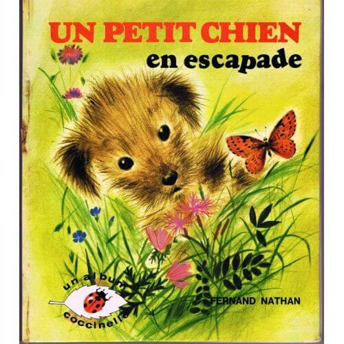 Un chien en escapade - Click to enlarge picture.